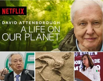 El Caballero Naturalista y los fósiles